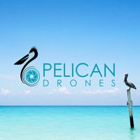 pelicandrones