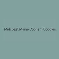 coonsanddoodles