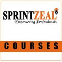 sprintzeal123