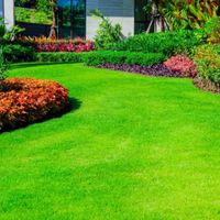 TimsTotalTurf