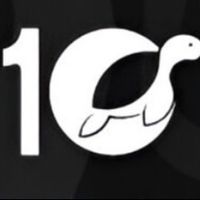 10turtle