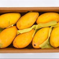 drymango