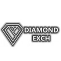 diamondexc1302
